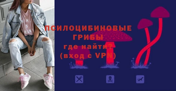 амф Верея