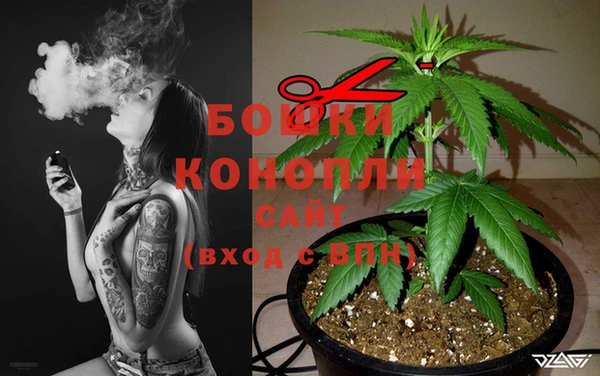 сатива Струнино