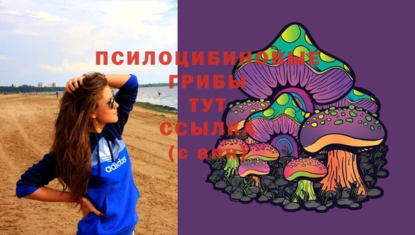 амф Верея