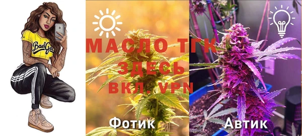 МДПВ Волоколамск