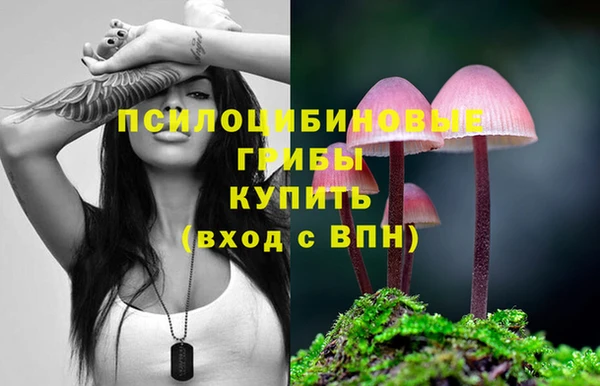 амф Верея