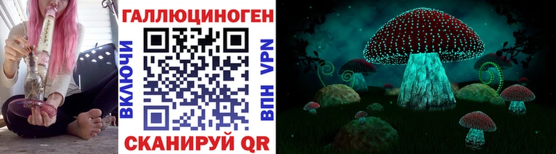 Псилоцибиновые грибы Psilocybe  OMG ССЫЛКА  Вятские Поляны  сколько стоит 